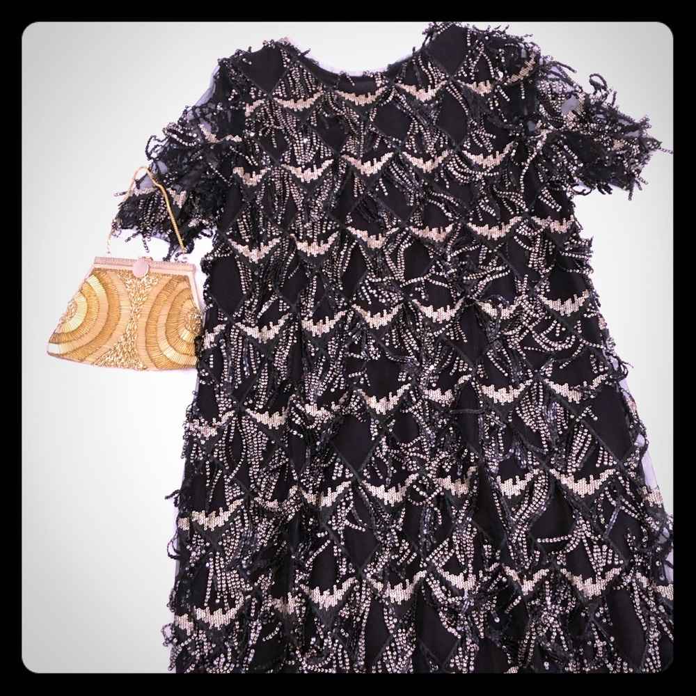 NWT Zara fringe and sequence party dress